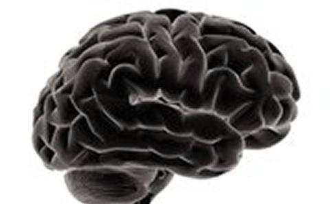 Trauma – BRAIN UK